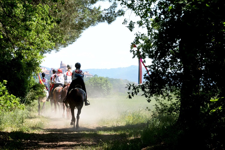 Foto castiglione endurance 1 1