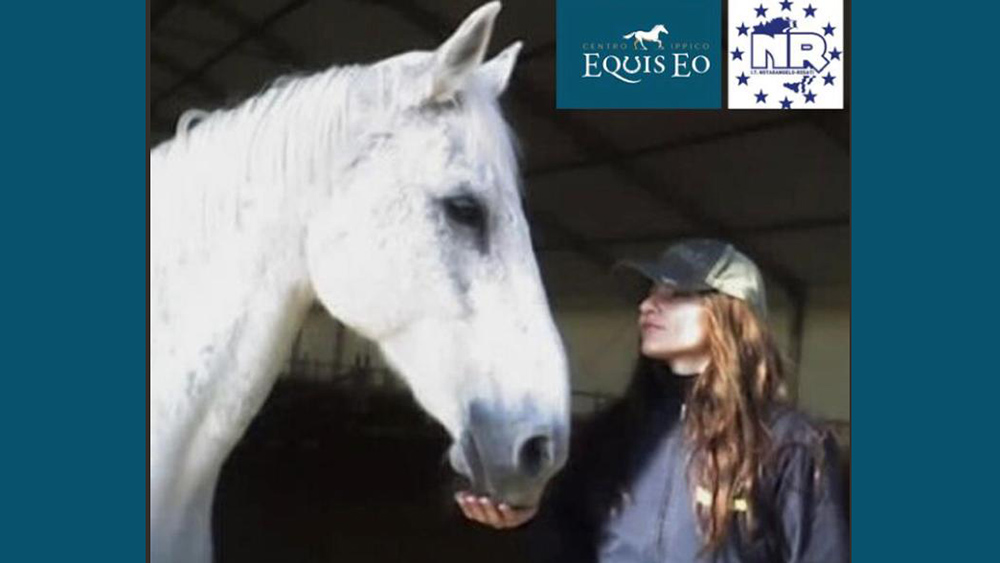 Foggia: un docente chiamato cavallo