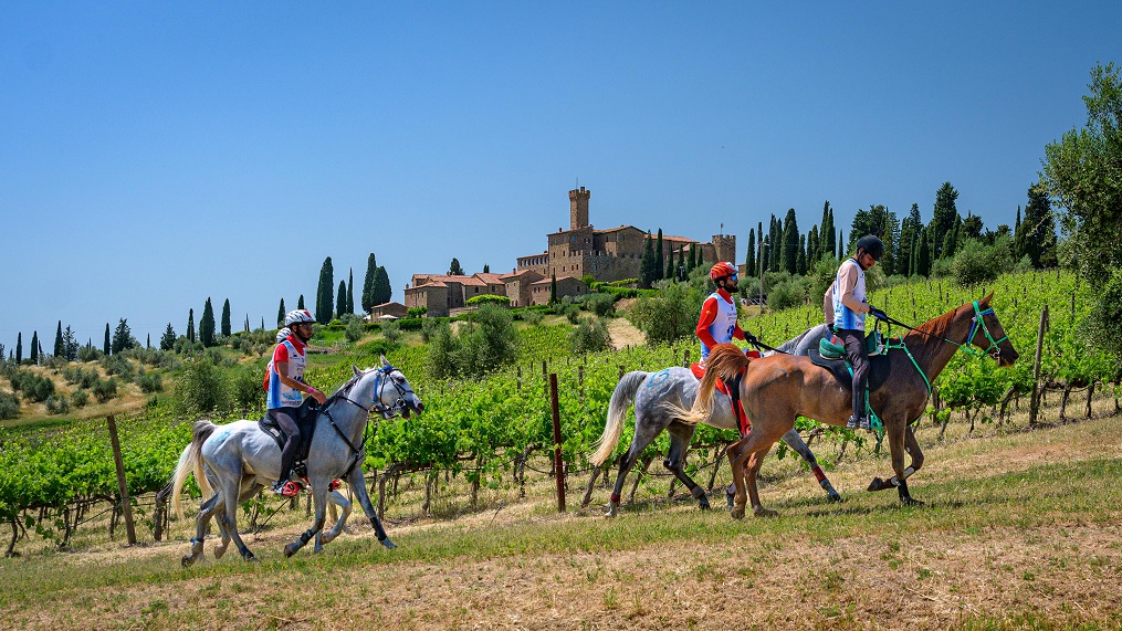 Festival Terre Toscane 2023: Montalcino è all’orizzonte