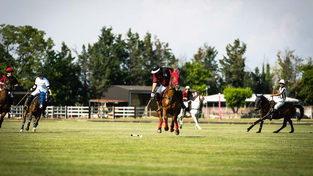 In sella: it’s time to polo!