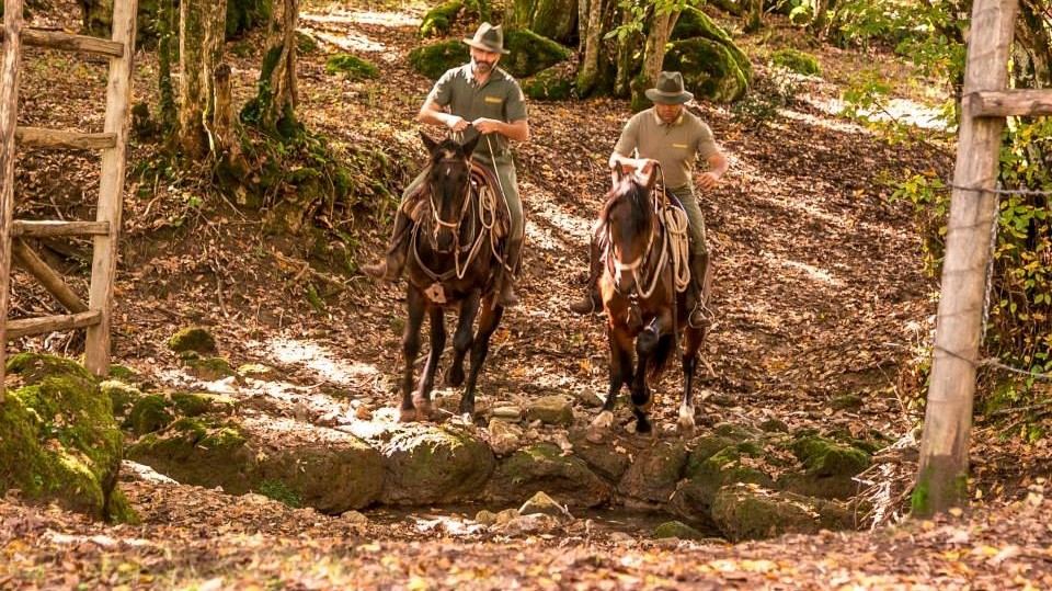 Blera: trekking a cavallo alla scoperta dei vecchi sentieri