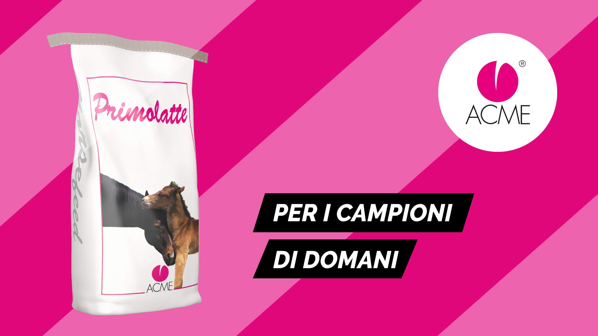 acme storie primolatte orizzontale 16 9