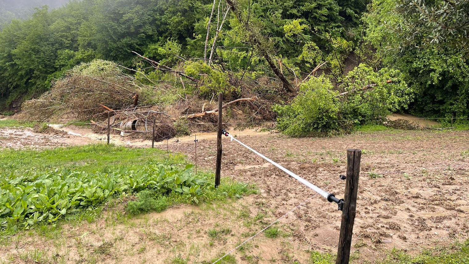 Romagna: frane e alluvioni, allevatori allo stremo