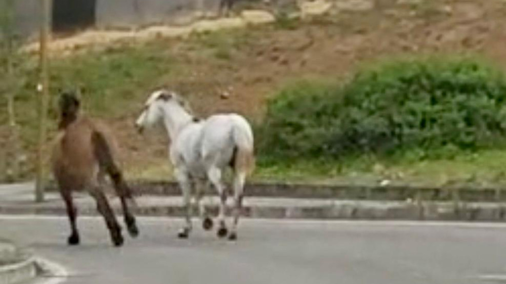 È il momento delle fughe sulle strade?