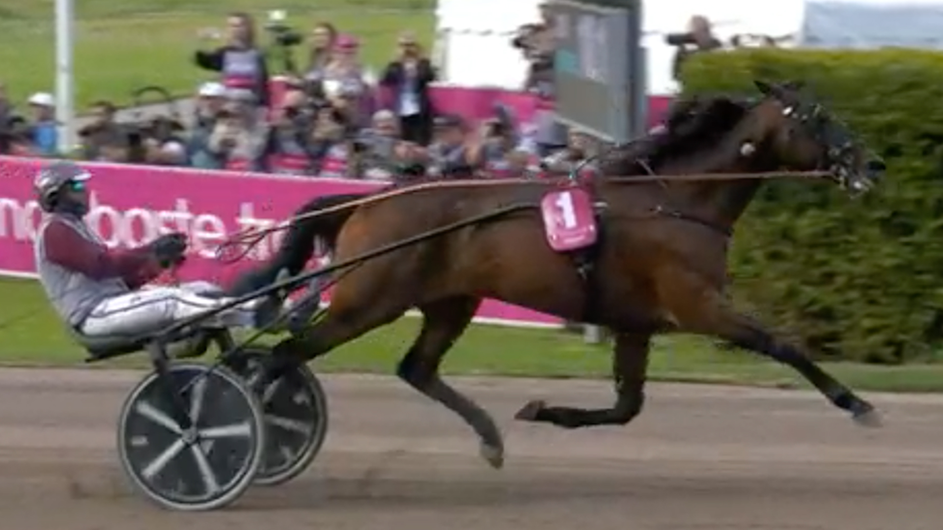 Hohneck e Gelormini  vincono l’Elitloppet 2023