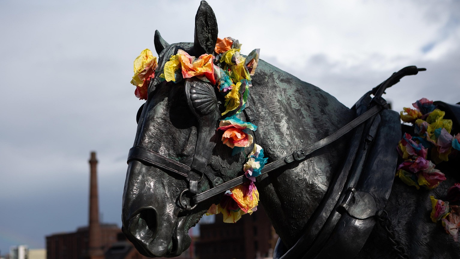 Liverpool: mettete dei fiori sui vostri cavalli