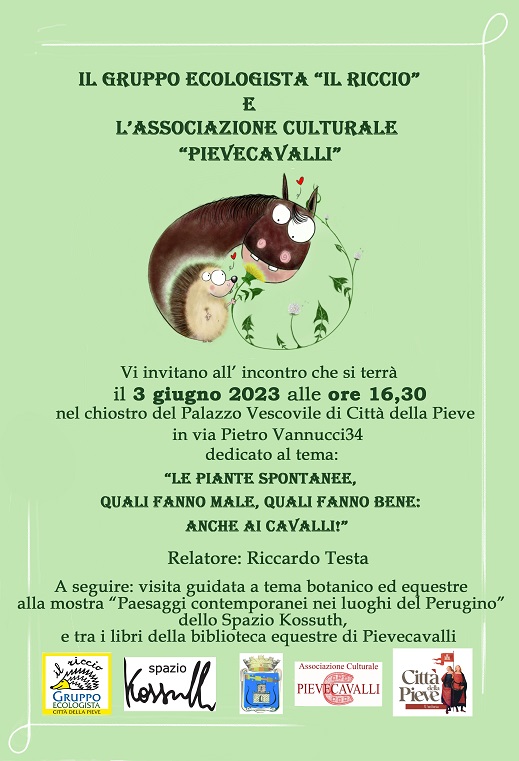 locandina cri