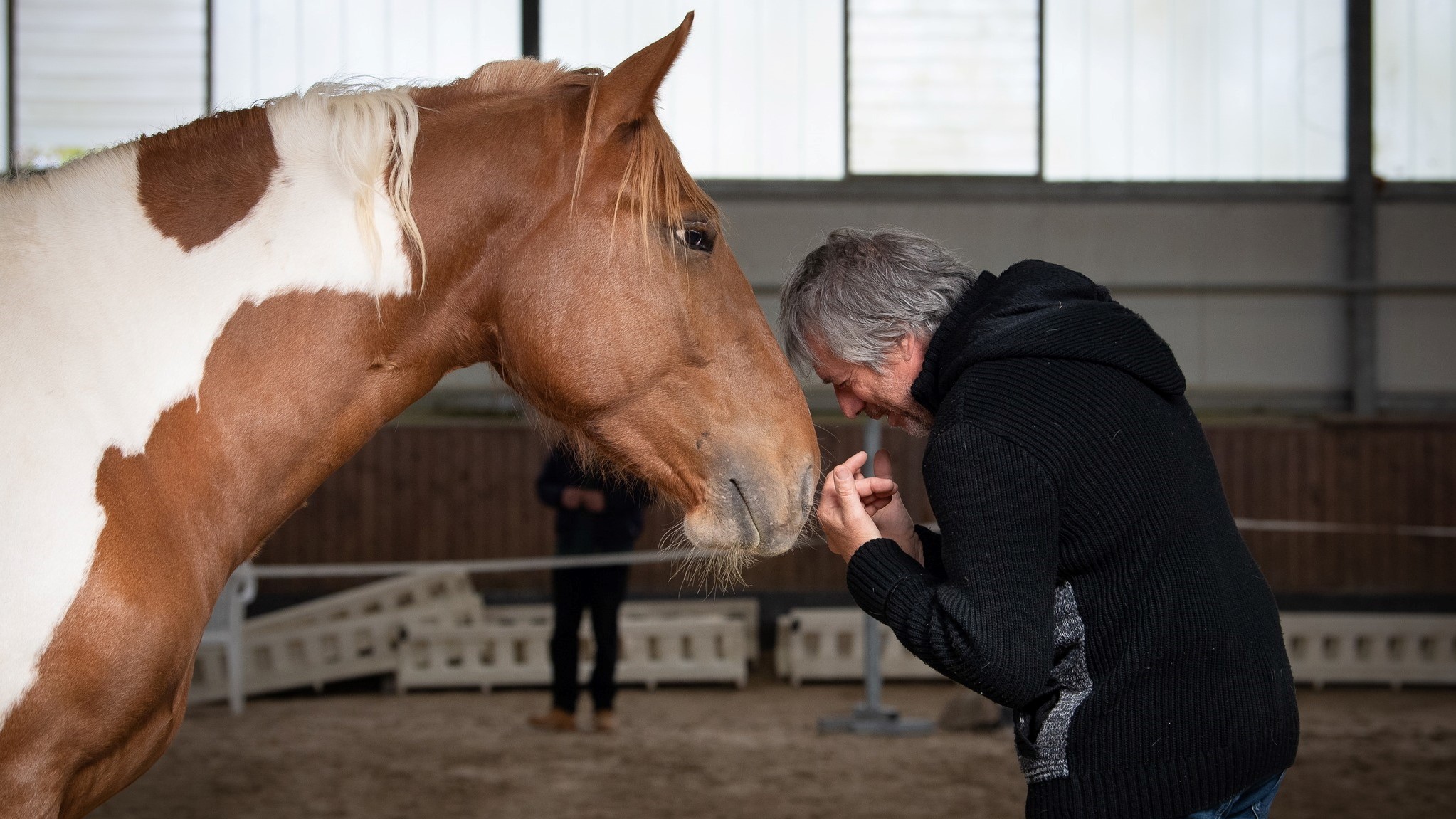 Jean-François Pignon: l’amore costruisce, anche con i cavalli
