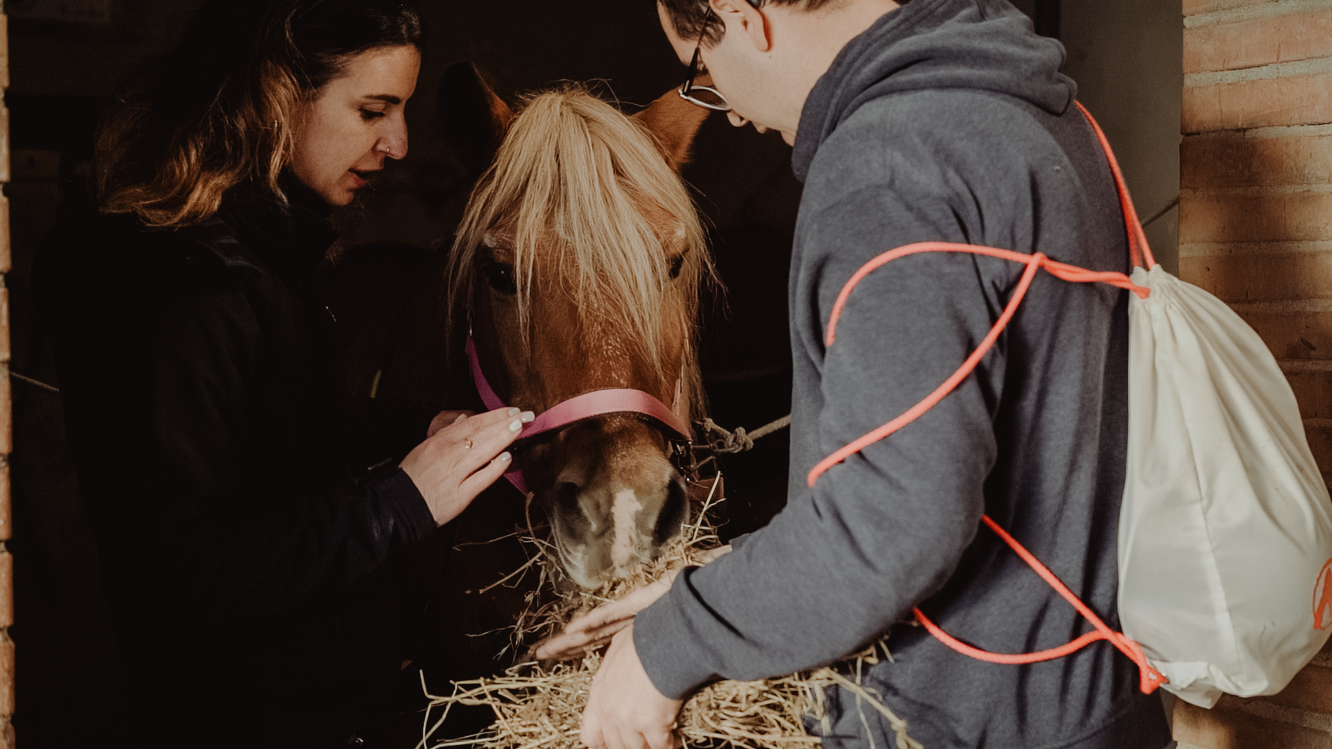 Macerata: a Civitanova riconfermato ‘Tutti a Cavallo’, progetto di inclusione