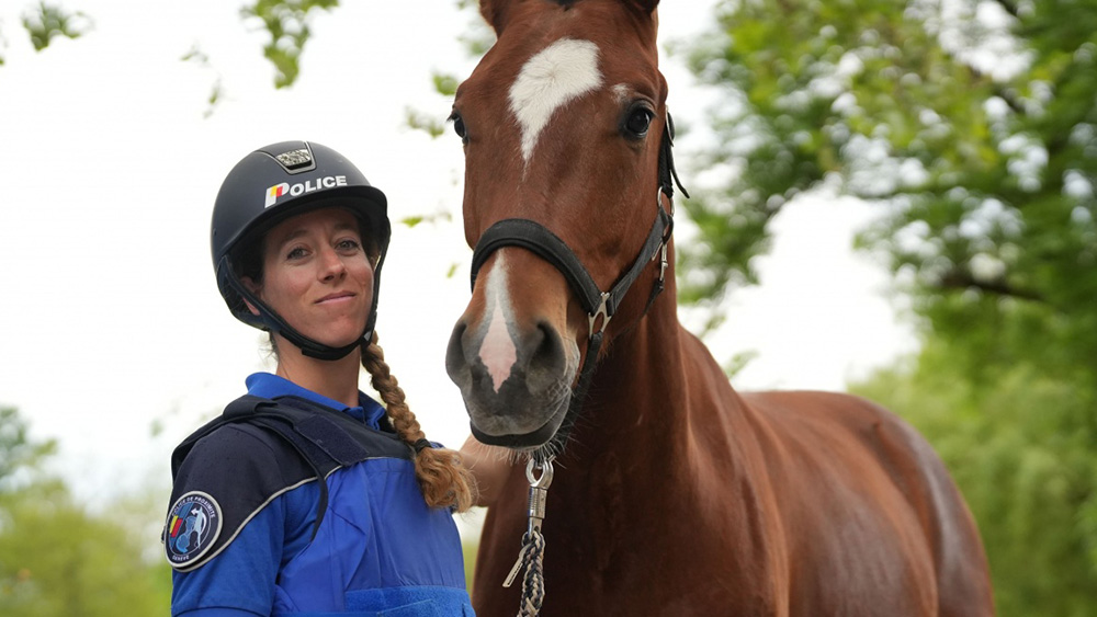 Missione sicurezza, tornano i poliziotti a quattro gambe