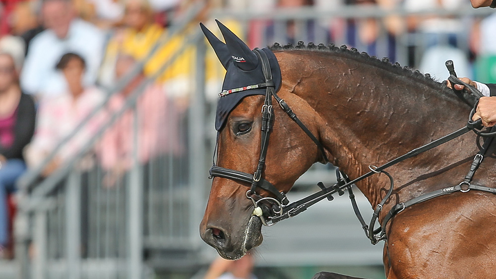 Rumori: sono o non sono un problema?