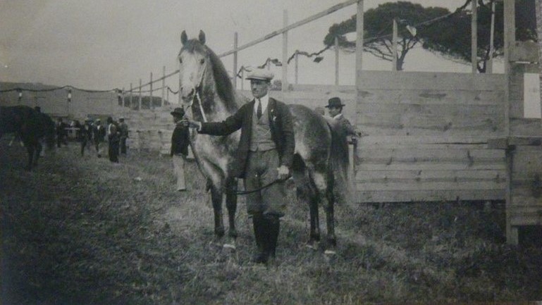 Calabria: dalla transumanza alla storia dei suoi cavalli è un attimo