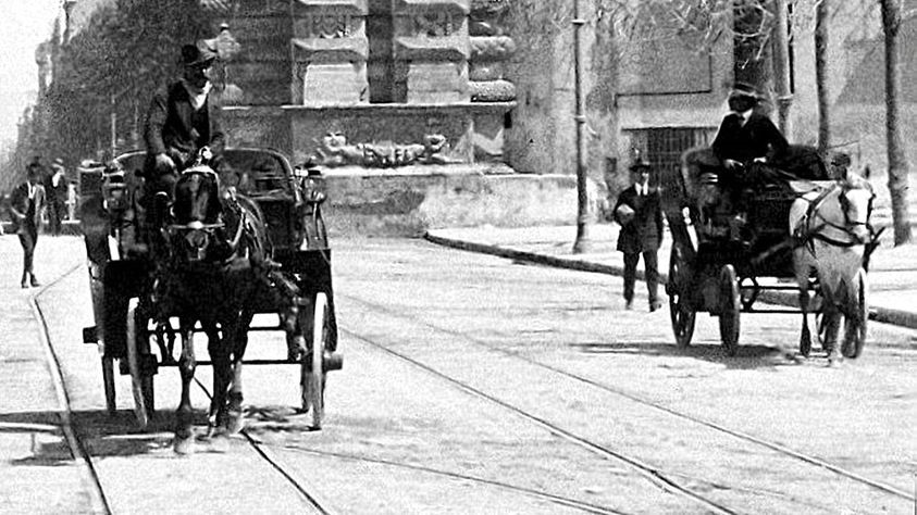 Palermo: il poco che si sa del cavallo stramazzato ieri