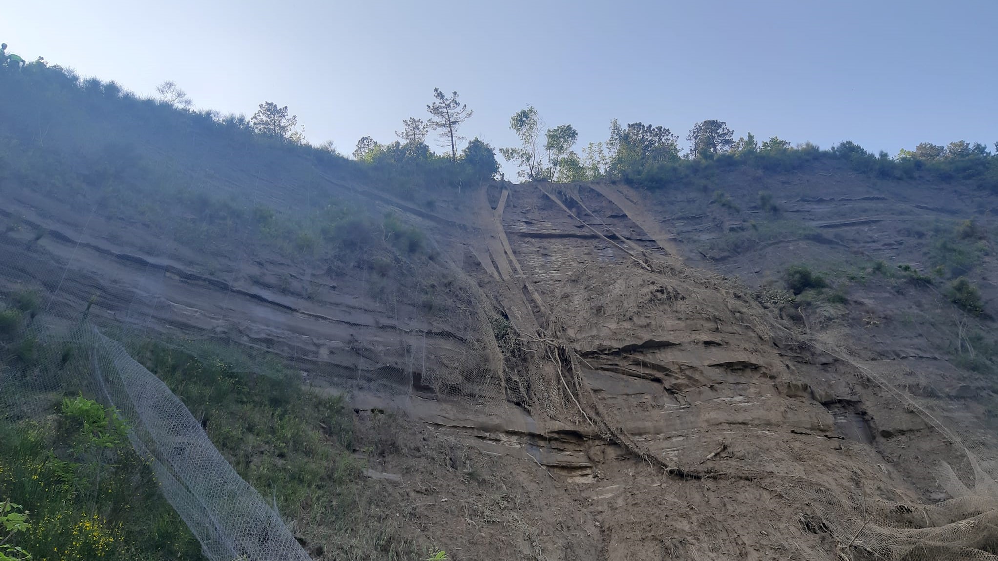 A Modigliana: la vita continua dopo l’alluvione con  nuovi puledri