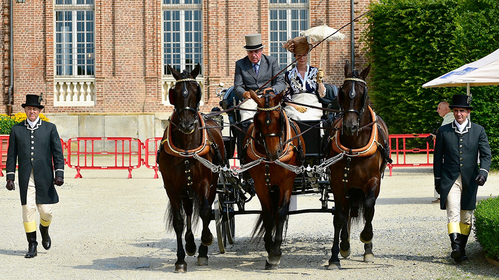 La Venaria Reale: sempre una meraviglia!