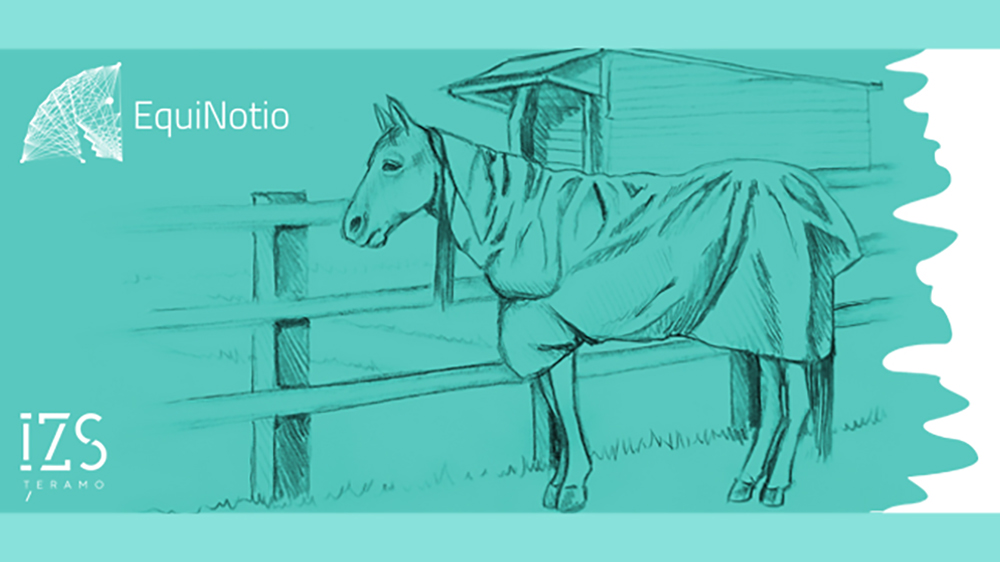 Il benessere del cavallo non DPA