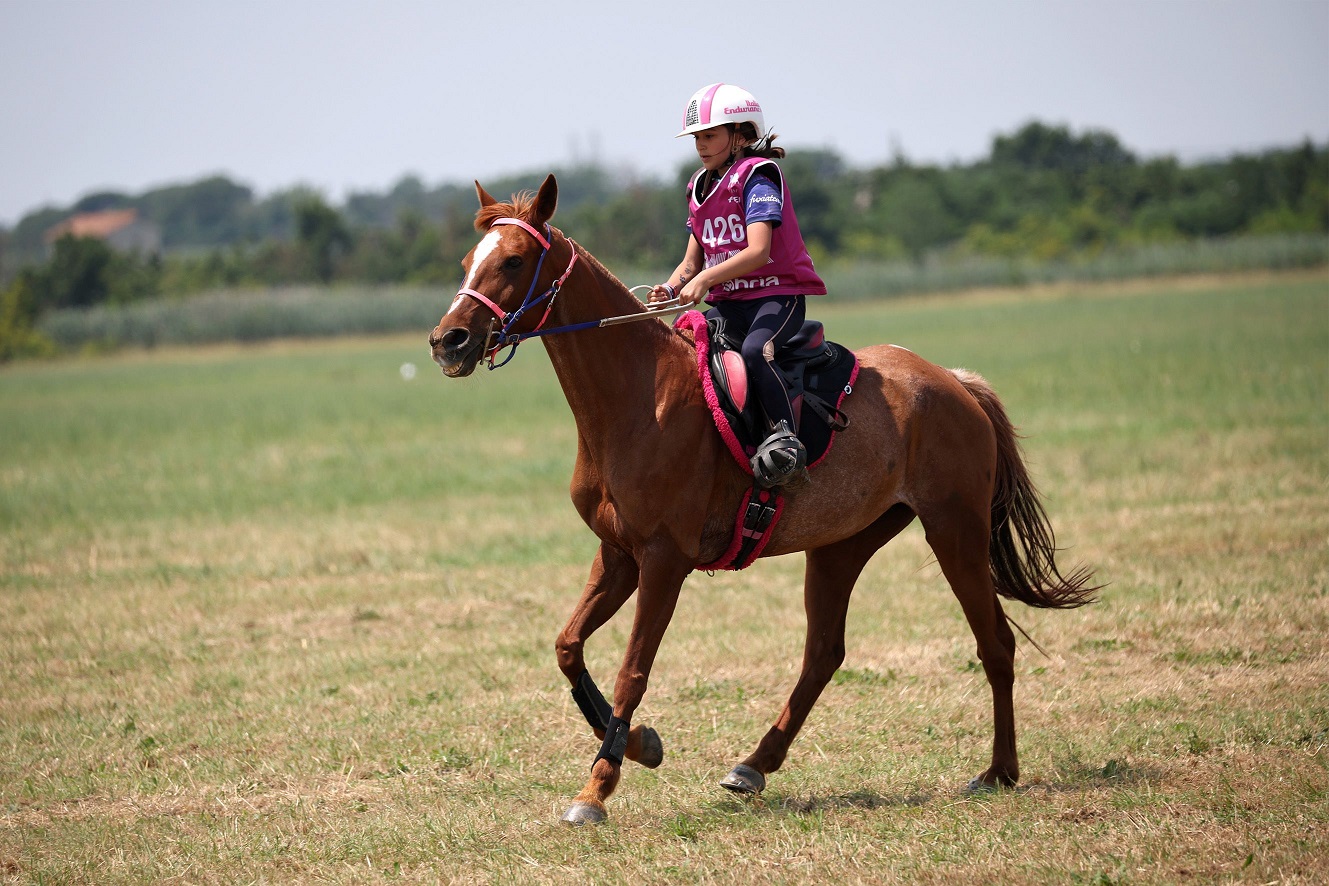 Laurenzi Aurora PonyB 75km