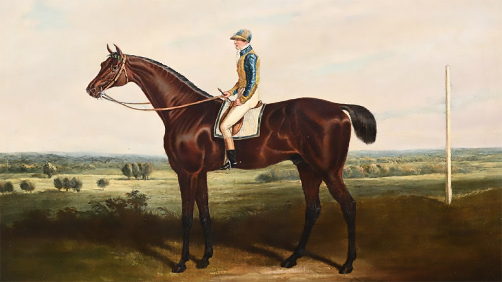 Schermata 2023 06 12 alle 12.03.37