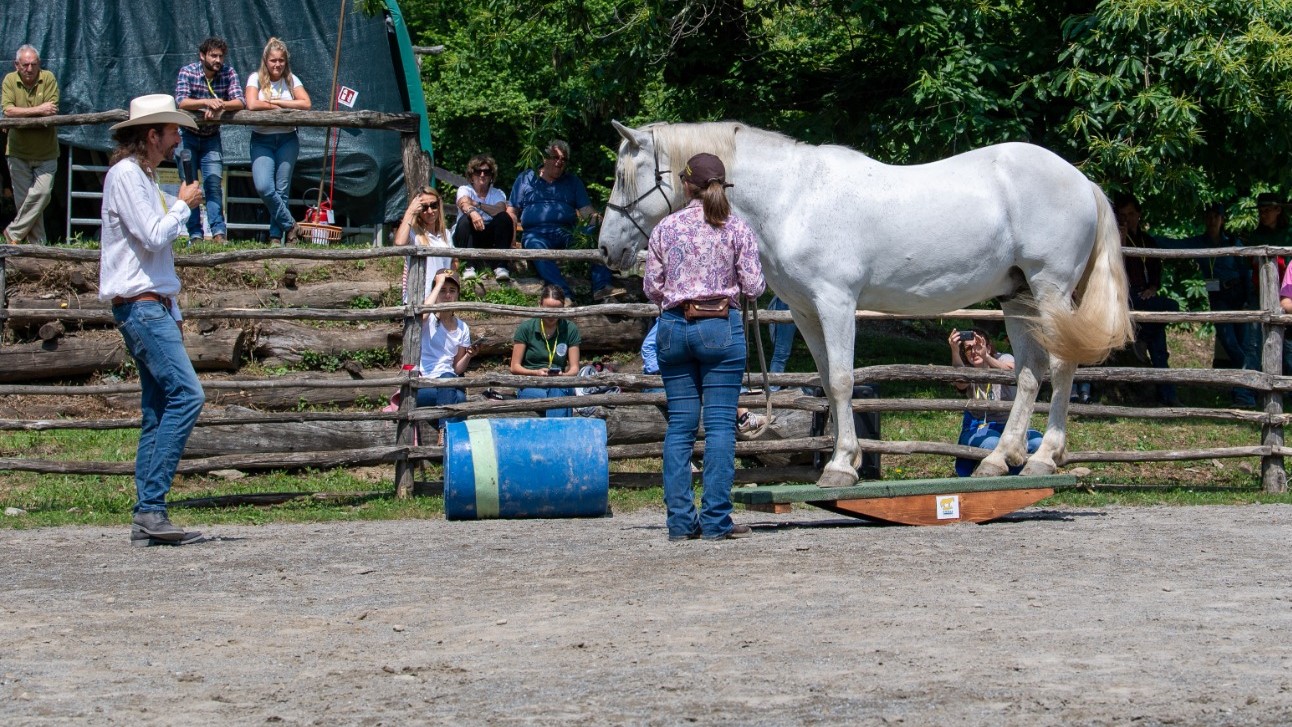 A Pontremoli ‘Non Solo Horsemanship’ al Virgola Event