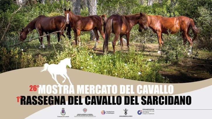 Sardegna: Laconi in festa per i cavalli del Sarcidano