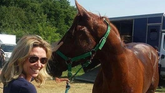 Dal Palio alla caccia alla volpe, la nuova vita di Solu Tu Due