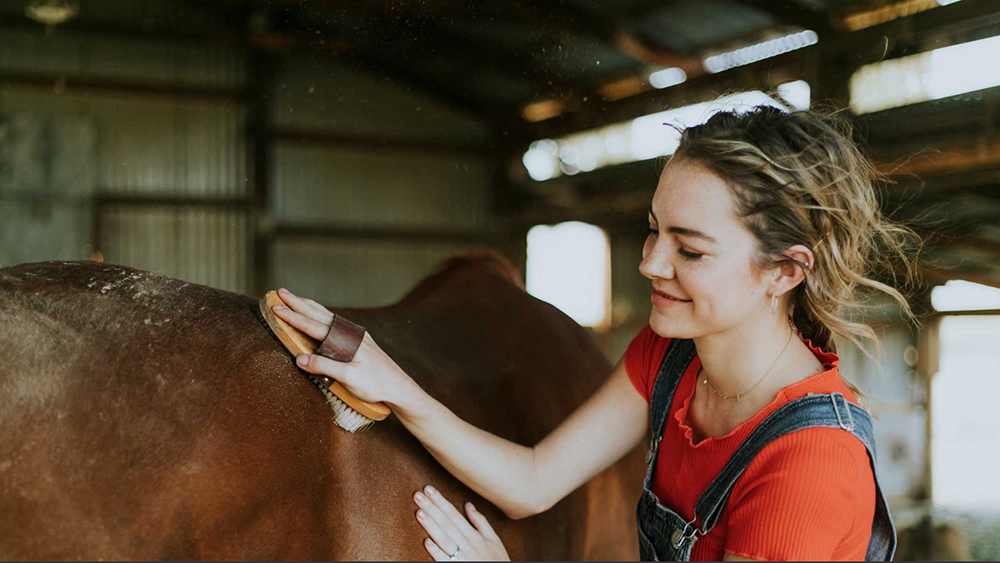 I groom danno il voto ai comitati organizzatori