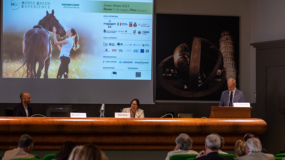 Formazione, sviluppo, professionalità: il mondo del cavallo ne ha bisogno