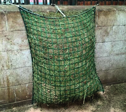 rete federa net 100 4