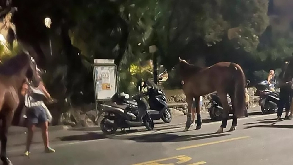 Nervi: una serata equestre fuoriprogramma
