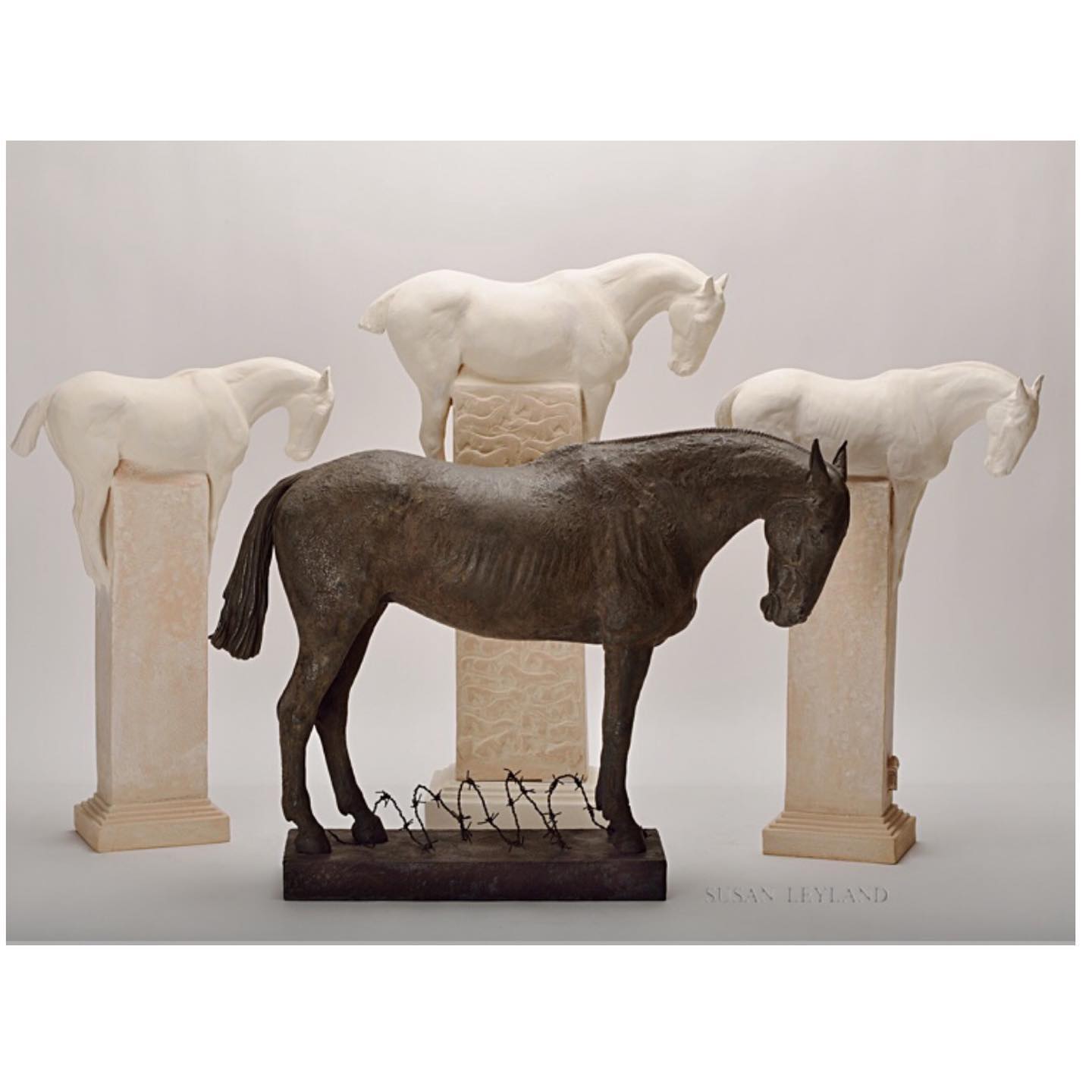 327800282 905973153891704 2584871843055627431 n