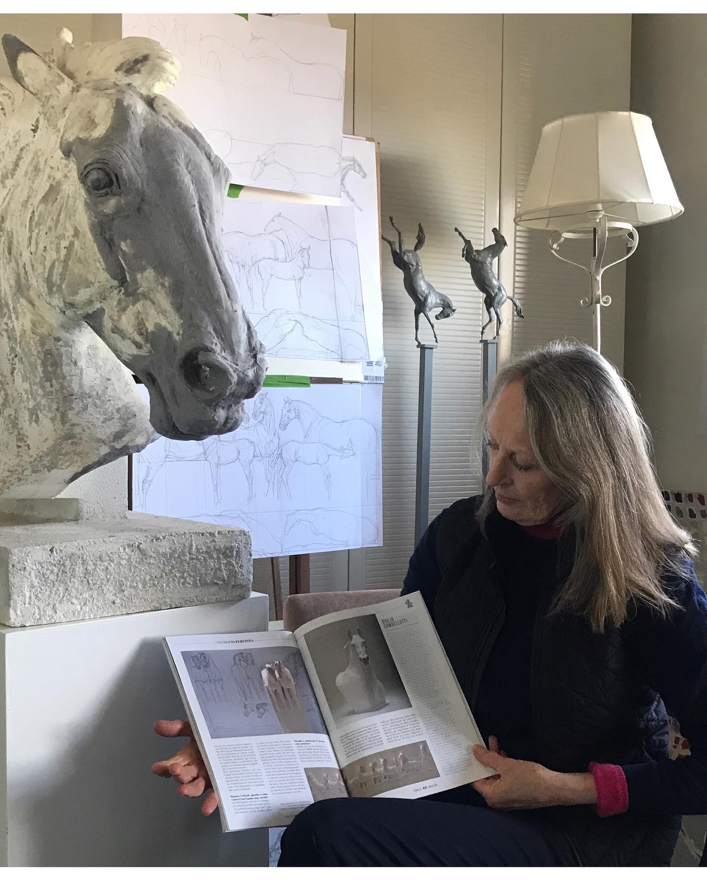 333084712 3372019229686372 739746049117896542 n