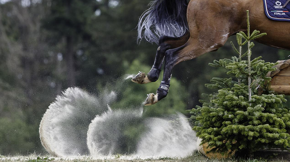 Il Team Italia per il completo d’Europa a l’Haras du Pin