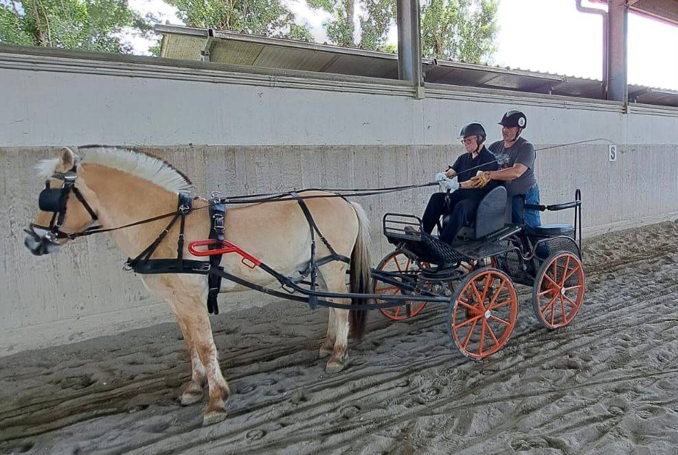 Tutti in Carrozza2