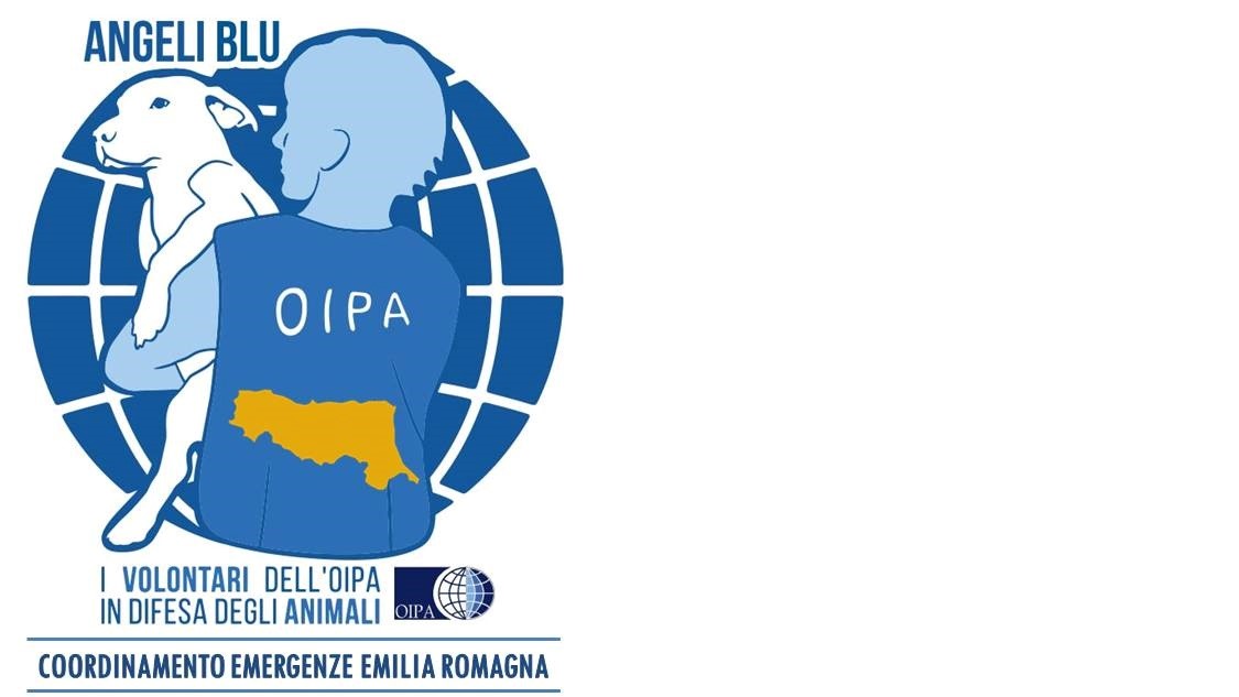 Emergenze maltempo: nasce coordinamento soccorso animali di Oipa