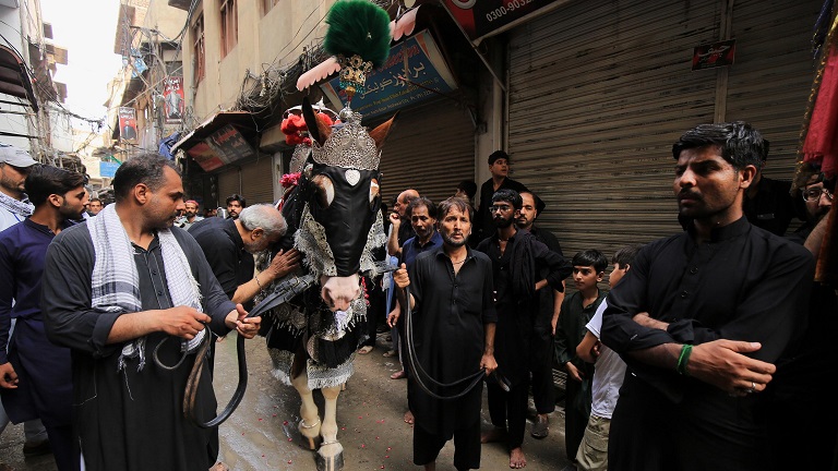 Zuljanah, il cavallo fedele e coraggioso allevato da Maometto