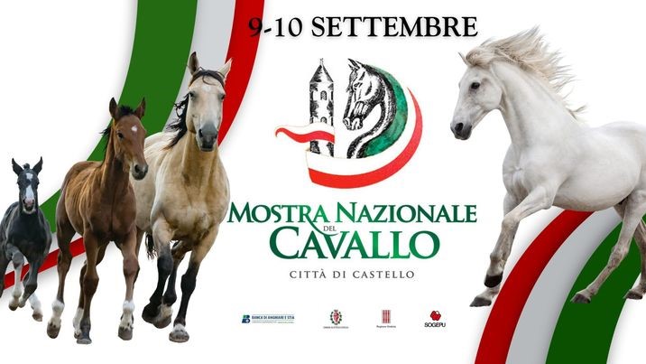 A Città di Castello uno spettacolo anche anti-bullismo