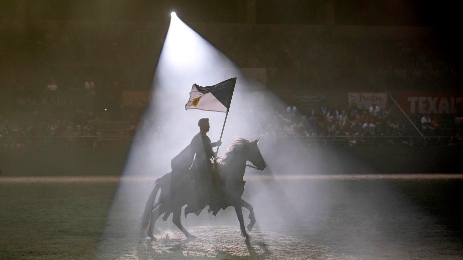 Ungheria: il Gala storico/equestre dedicato ai cavalli Lipizzani