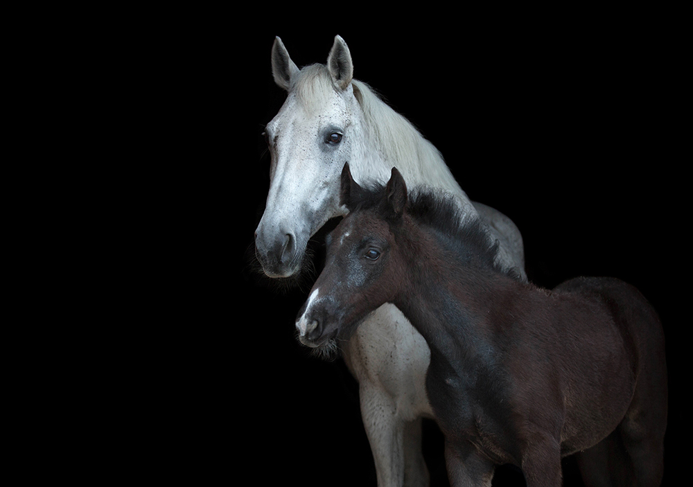 AdobeStock 203345609