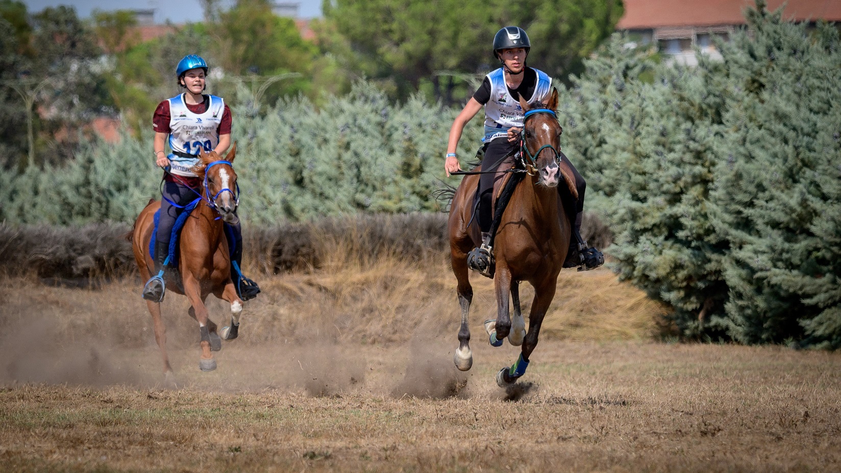 La Coppa Italia Giovani Cavalli fa rotta sul Casalone