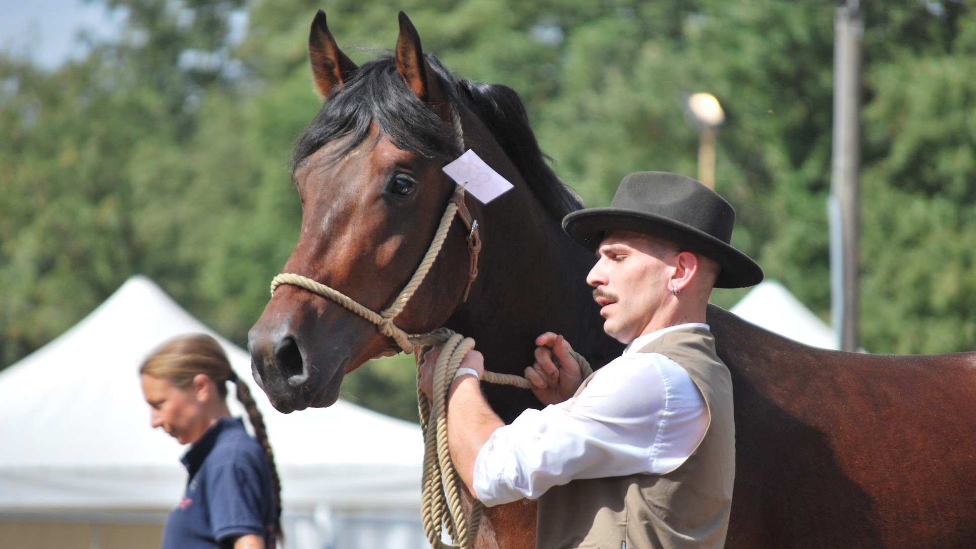 43° Mostra nazionale del cavallo Maremmano: tocca a Canino!