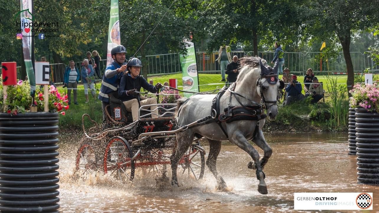 Laura Paglicci Reattelli super al FEI ParaDriving World Championship di Exloo