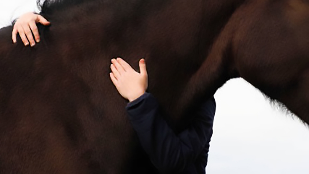 Tradizione e benessere: palio o non palio