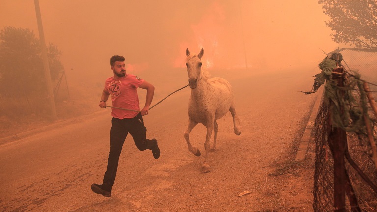 Atene: anche i cavalli in fuga dalle fiamme