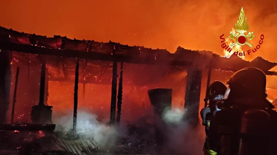Torino: maneggio in fiamme, 20 cavalli in salvo ma 1 è morto carbonizzato