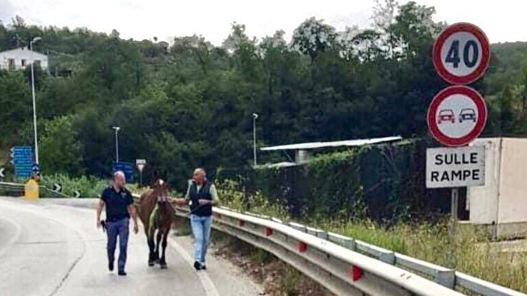 Molise: anche in pensione i Vigili del Fuoco sono sempre sul pezzo