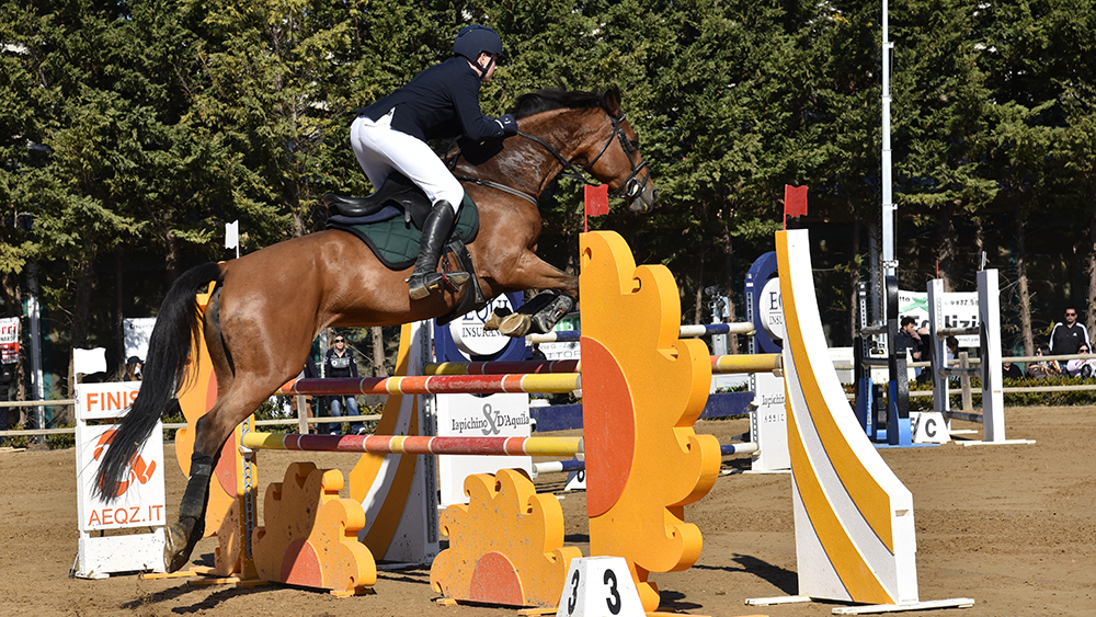 Cavallo ed eventi sportivi: modifiche alle Camere