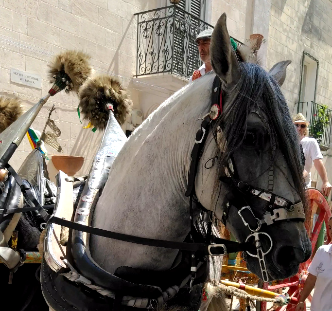 messicano
