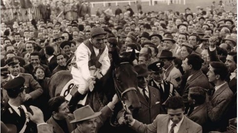 Ribot il Magnifico: uno spettacolo di cavallo