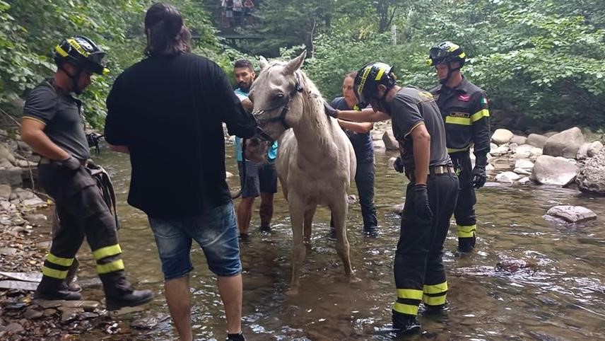 Prato: Star, pensionato avventuroso