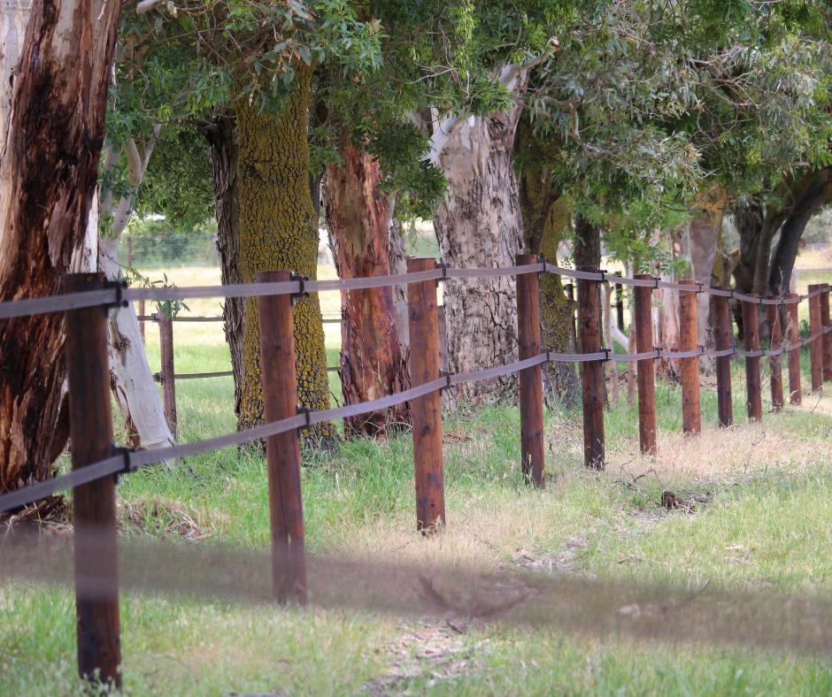 31c89f3ba51be2cbd861